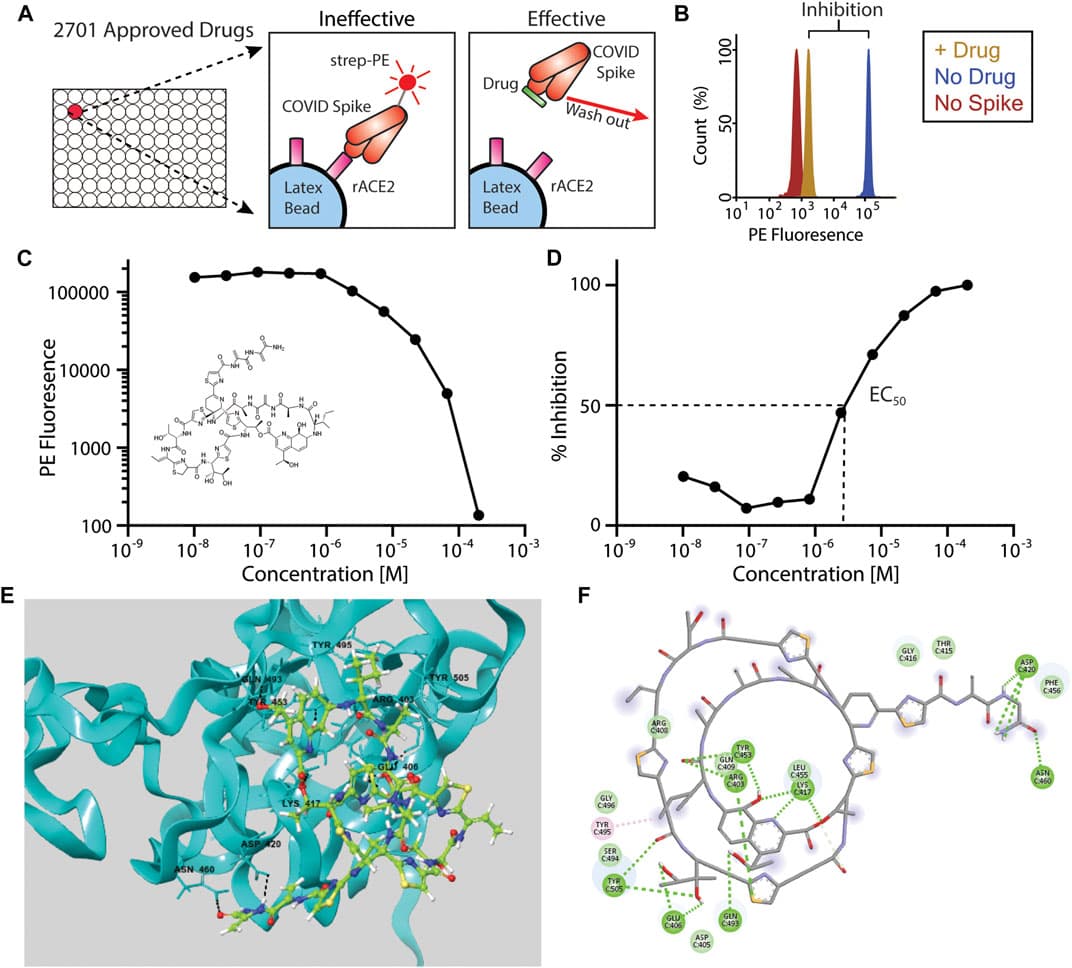 COVID Research Paper